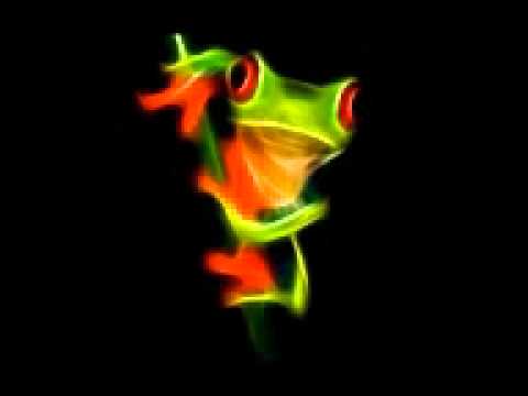 0610 Hinario -  Ricardo Mira - Curador de Gaia