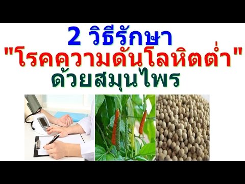 สาเหตุความอ่อนแออินทรีย์ หญิงติดเชื้อง่าย
