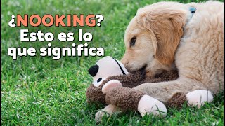 Thumbnail del capítulo