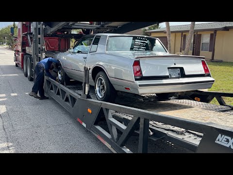 The Differences Between Monte Carlo SS 85-87