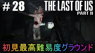 #28【The Last of Us Part II】初見最高難易度グラウンドで美少女たちが暴れん坊将軍