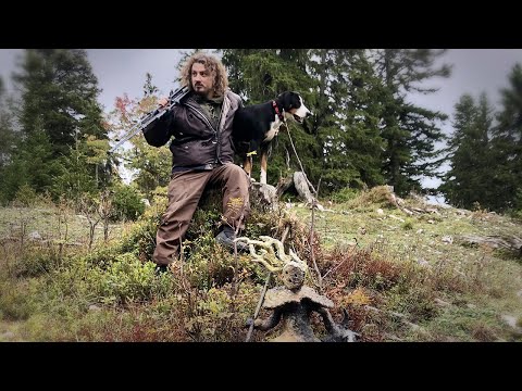 Vidéo YouTube