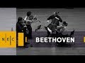 Ludwig van Beethoven: String Quartet No. 16 in F Major, op. 135 – Verona Quartet