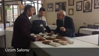 İzmir Ticaret Borsası İşlem Salonları