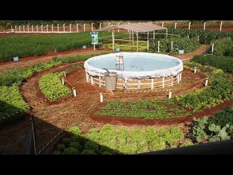 Sisteminha Embrapa - Utilização da água dos peixes para irrigar plantações