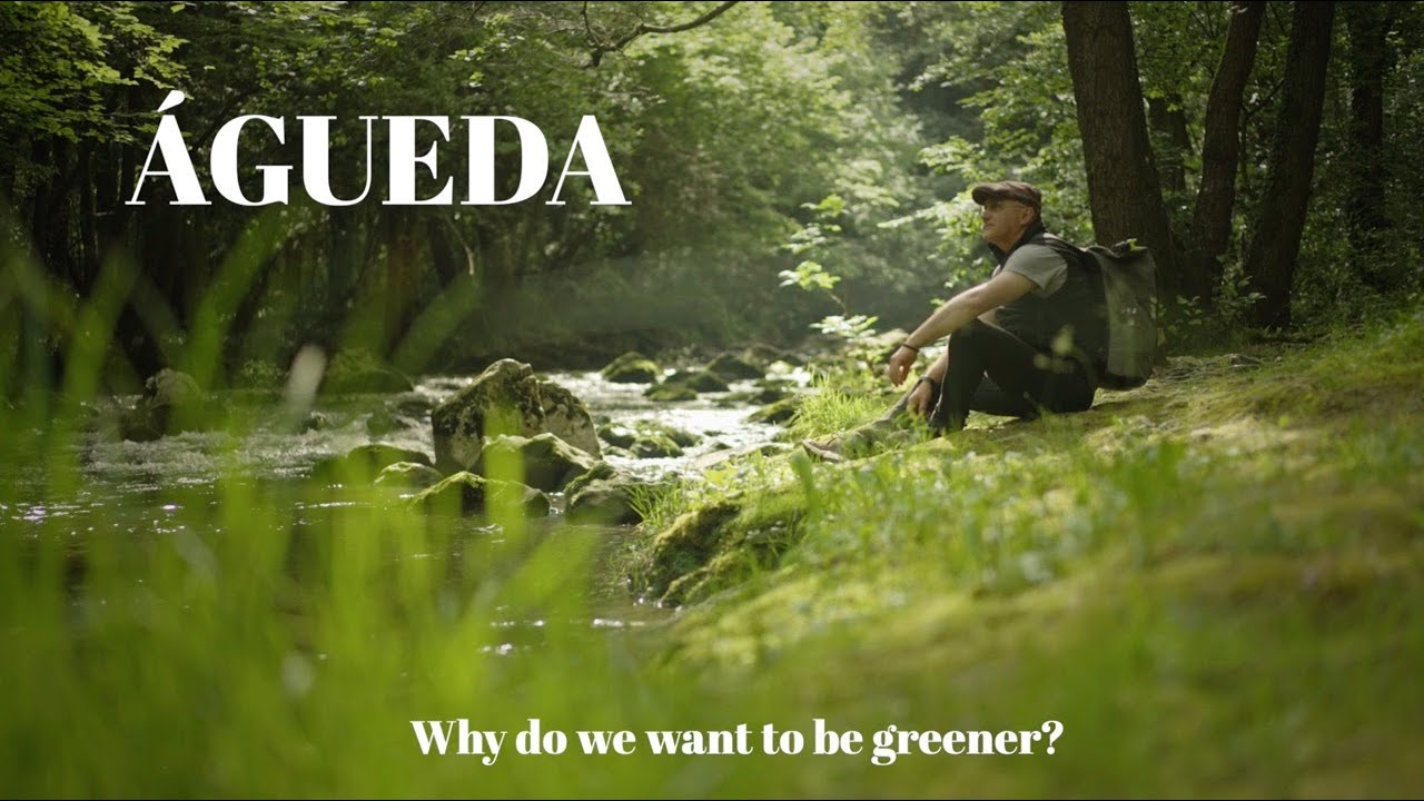 Vídeo Águeda European Green Leaf 2026