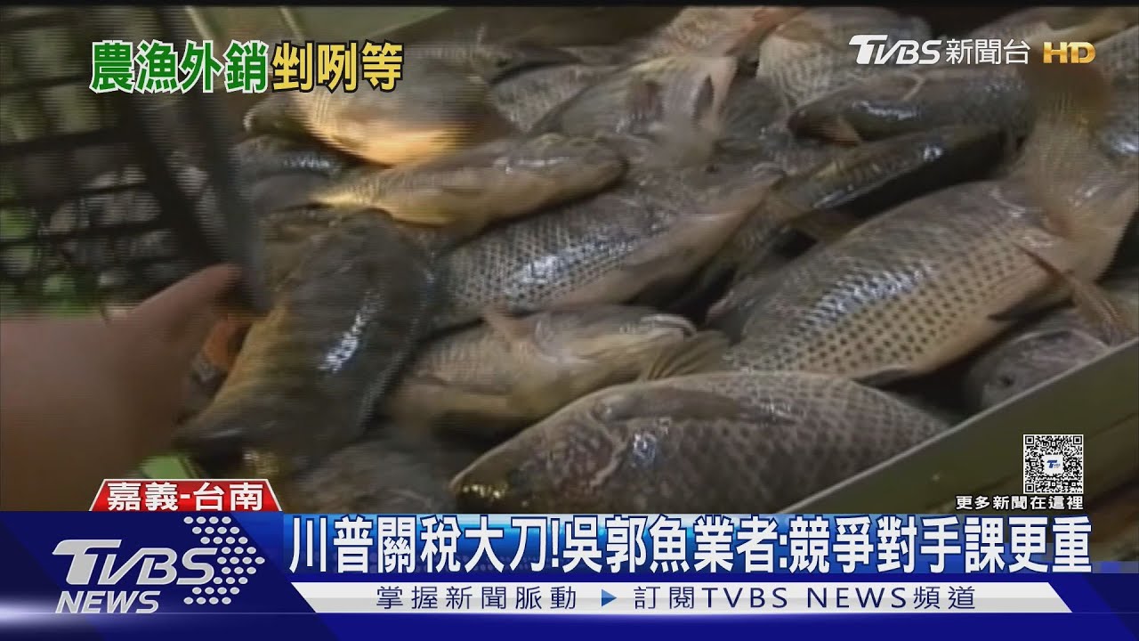 川普課徵關稅!蝴蝶蘭0關稅變卦 吳郭魚業者:競爭對手課更多