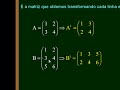 Matemática -Matrizes - Conceitos Iniciais (QuintaParte)