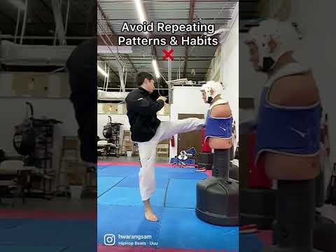 Sparring Tips Overview - Martial Arts Taekwondo Kickboxing Karate