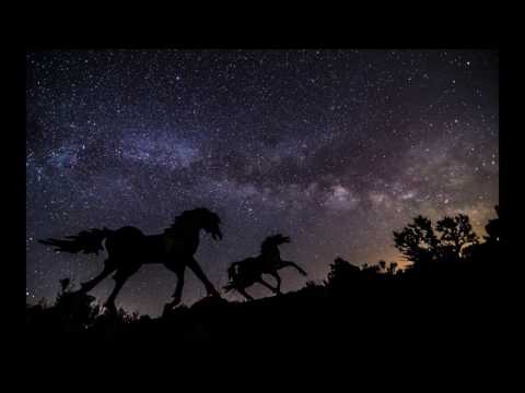 Mg677 - Horses Everywhere