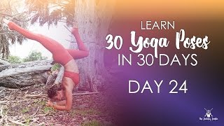 Day 24 - Forearm Balance - 30 Pose Journey