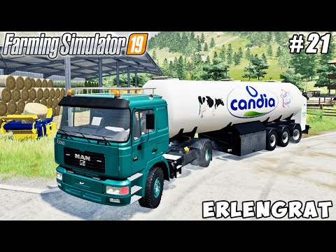 Weed removal, care of the cows, selling milk, harvesting wheat | Erlengrat | FS 19 | Timelapse #21