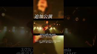 今週土日はREISAI 1st one-man LIVE『ハイセンス』東京公演!!