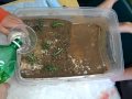 Erosion Lab