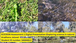 ECE3006 Assessment-1 Digital Presentation (Exploring science in nature)