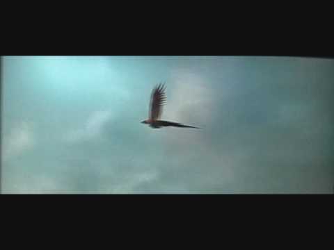 Harry Potter and the Half Blood Price (FULL MOVIE) PART 15