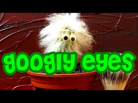 Googly Eyes