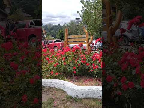 Villa La Angostura, Neuquen