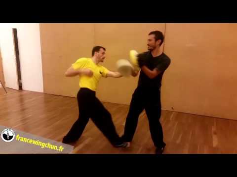 Lion France Wing Chun Applications / Applications Lion France Wing Chun