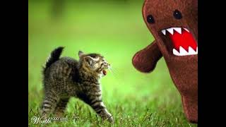 Cover art for live with it