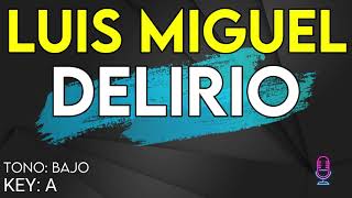 Luis Miguel - Delirio - Karaoke Instrumental - Bajo