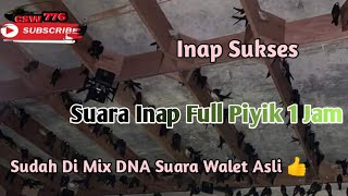 Download lagu SUARA INAP SUKSES No.1 Full Piyik - Banyak Petani Walet Yg Belum Tau Suara Inap ini mp3
