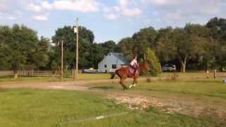 preview picture of video 'Riding a runaway OTTB'