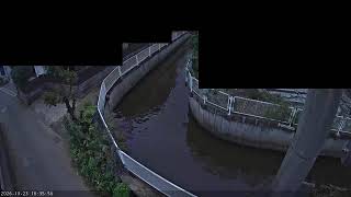 横須賀市 川間川