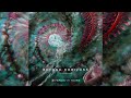 PSYCHILL - Beyond Horizons (Compiled By Sunduo) [Full Album]