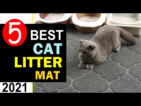 Best Cat Litter Mat 2021 🏆 Top 5 Best Litter Mat for Cats Reviews