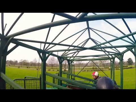 Sgabbiata puledre soc. di allenamento First Racing All. Antonio Marcialis