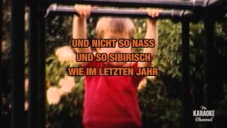 Wann wird&#39;s mal wieder richtig Sommer : Rudi Carrell | Karaoke with Lyrics
