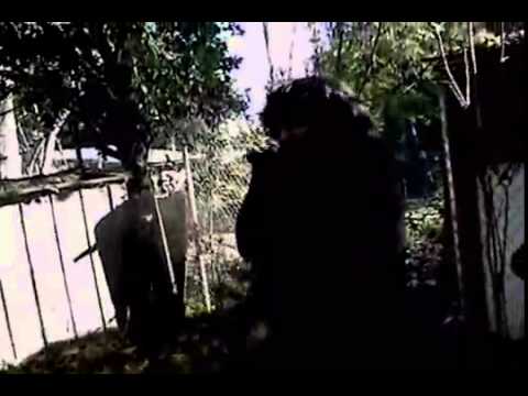 Ofuh Real    from the puff to the cough