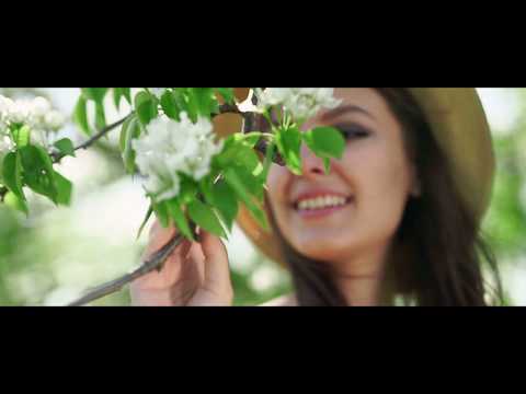 Van Davi - Promieniem słońca (Oficjalny teledysk)