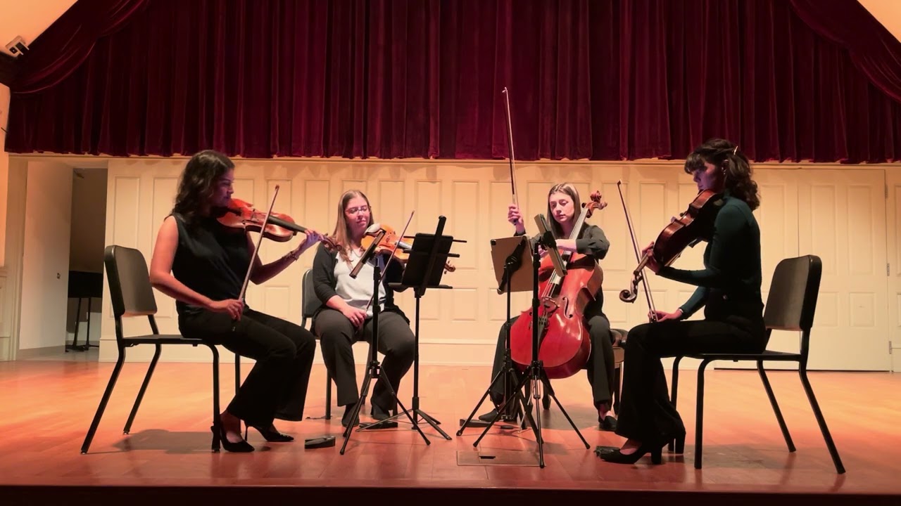 Promotional video thumbnail 4 for Cellist, Sophie