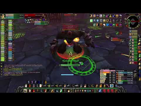 TD vs loatheb. PALADIN TANK LETS GOOOOOOOOOOOOOO