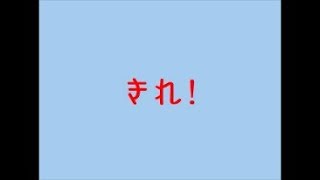 【ただひたすらにキレ！】きれ！をゆっくり実況