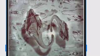 HYMN (REMIXED FROM EP "TOUCH I” ONLY VERSION / AFRICAN HEAD CHARGE
