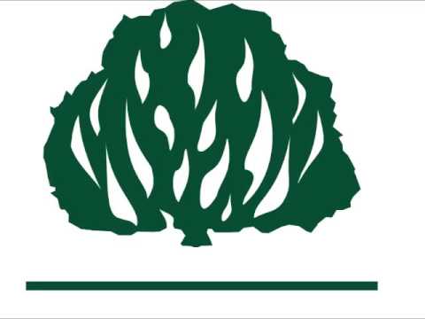 Vivificação - HNC 132