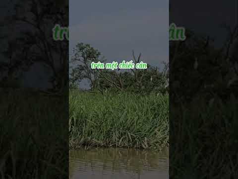 #194 HÃY TRÂN TRỌNG TỪNG KHOẢNH KHẮC THỜI GIAN CỦA BẠN