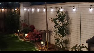 - YouTube