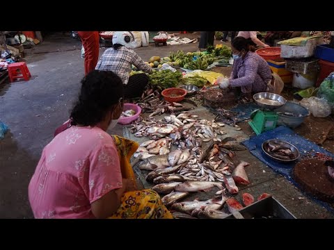 Morning Market Scenes - Walking Around Phsar Pram Pi Makara Market @Toul Kork Phnom Penh