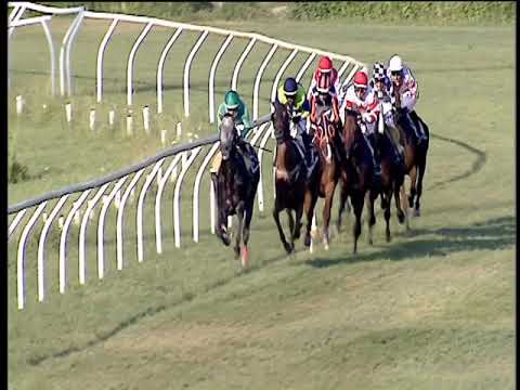 Galoppo 13/07/2019 - 1ª corsa