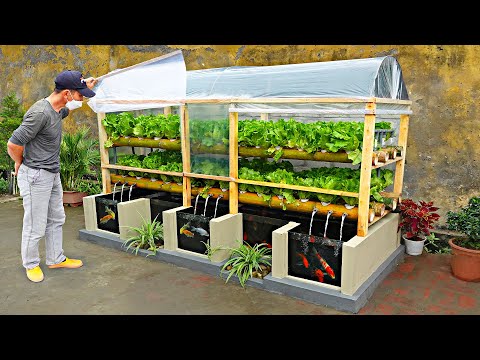 Farmer taught how to DIY aquarium and greenhouse to grow aquatic vegetables