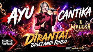 Download lagu Ayu Cantika - Chained and Bound by Longing - Mahesa Music mp3 Download lagu Ayu Cantika - Chained and Bound by Longing - Mahesa Music mp3