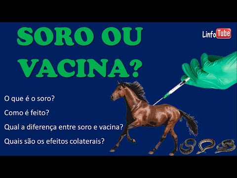 Vídeo Soro e Vacina