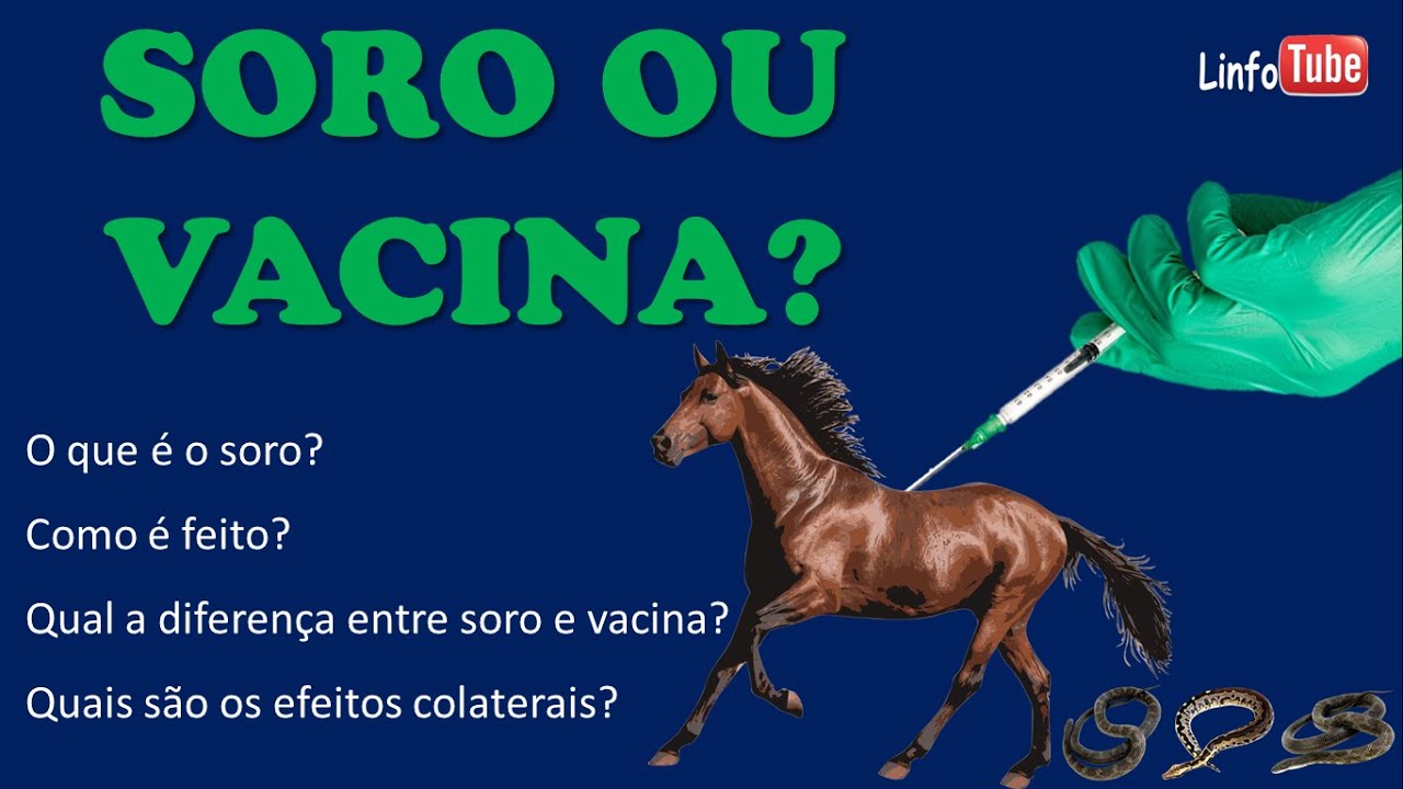 Vídeo Soro e Vacina