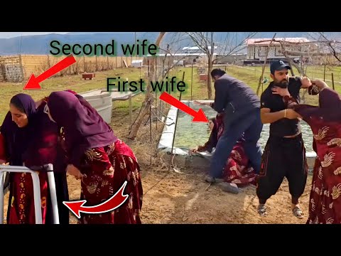 Rural Life/Who is the victor in this battlefield? Shokoofeh? 