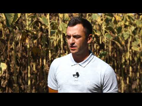 Testimonial Radu Ionut - TCE 3 BRAZI, tehnologie P64LE99