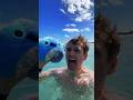Stranded with Stitch🐬 w Carter Kench #shorts